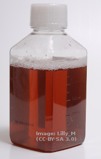 Fetal bovine serum